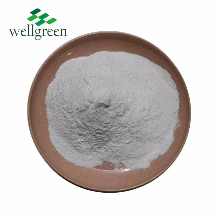 Wellgreen Anti-aging CAS No.9072-19-9 Undaria Pinnatifi Extract Fucoidan 5%-85%