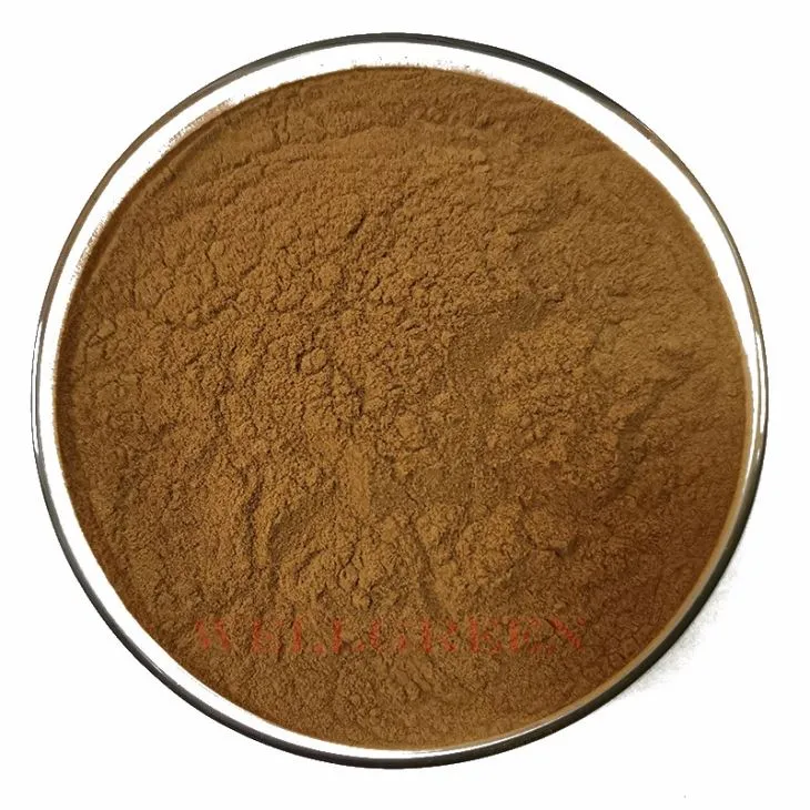 Wellgreen Factory Supply Anti-oxidant Olive Leaf Extract 40% Oleuropein