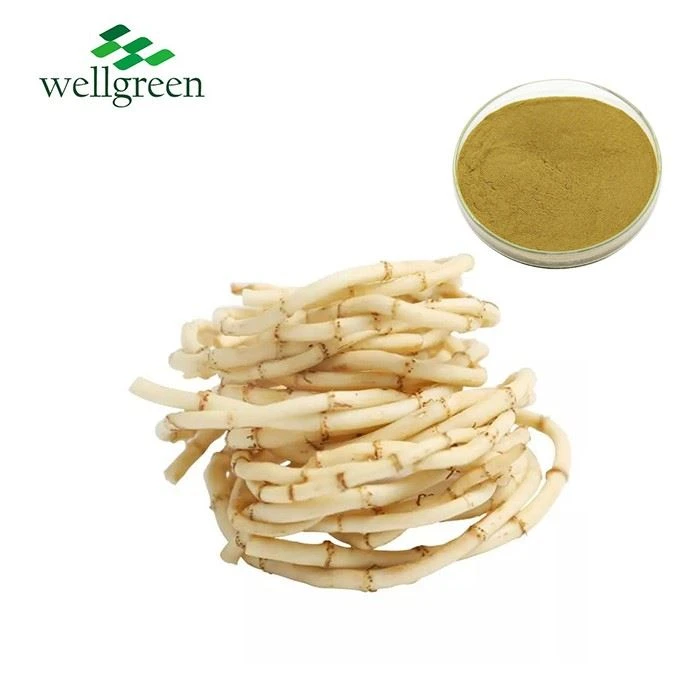 Heartleaf Houttuynia Extract