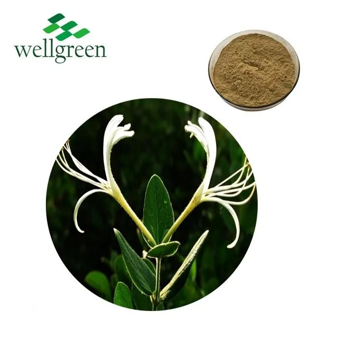 Honeysuckle Extract Powder Chlorogenic Acid