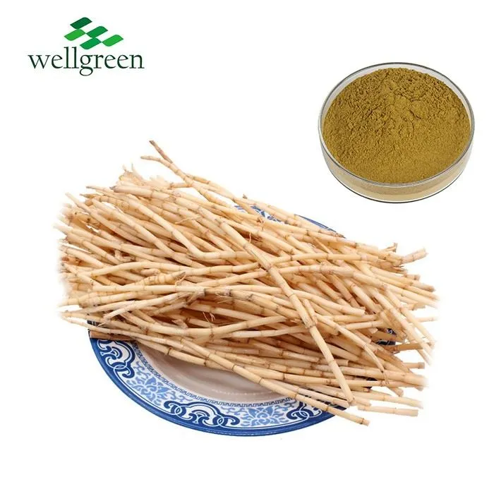 Lalang Grass Rhizome Extract