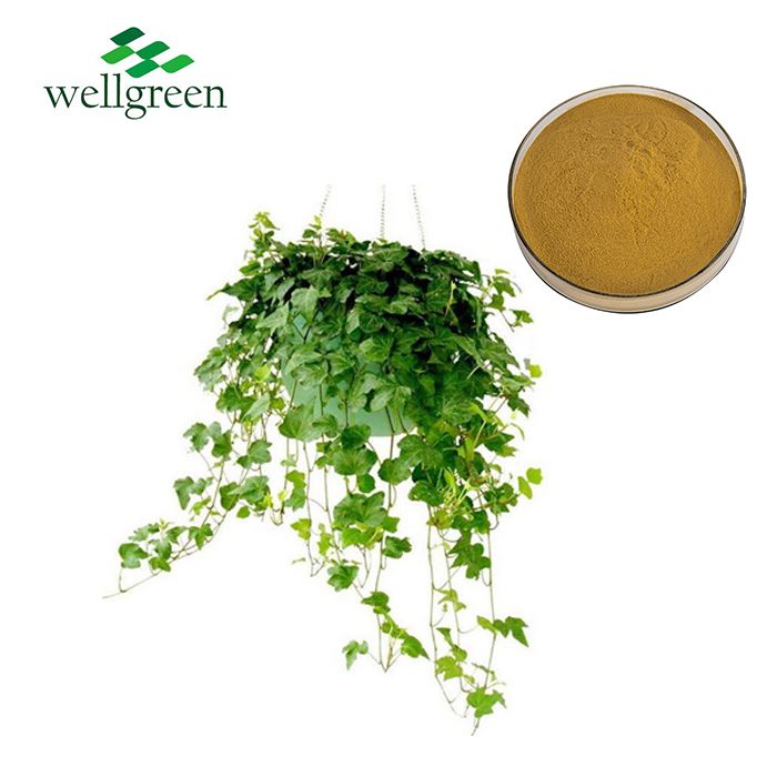 Ivy Stem Extract