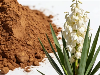 علم الأداء: دليل احترافي لمسحوق مستخلص اليوكا لتطبيقات B2B